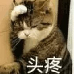 TIM图片20180824064316.gif